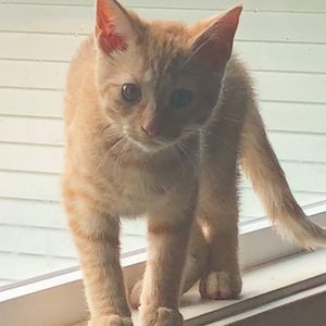 Meet your Posher, Jenny